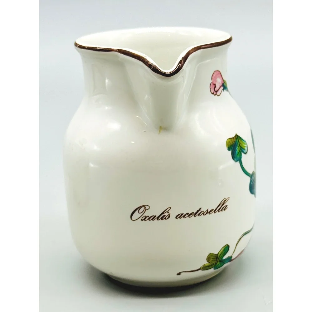 Villeroy Boch Creamer Sugar Set Botanica Oxalis Acetosella Convolvulus Jalapa